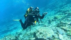 foto-dive_001.jpeg